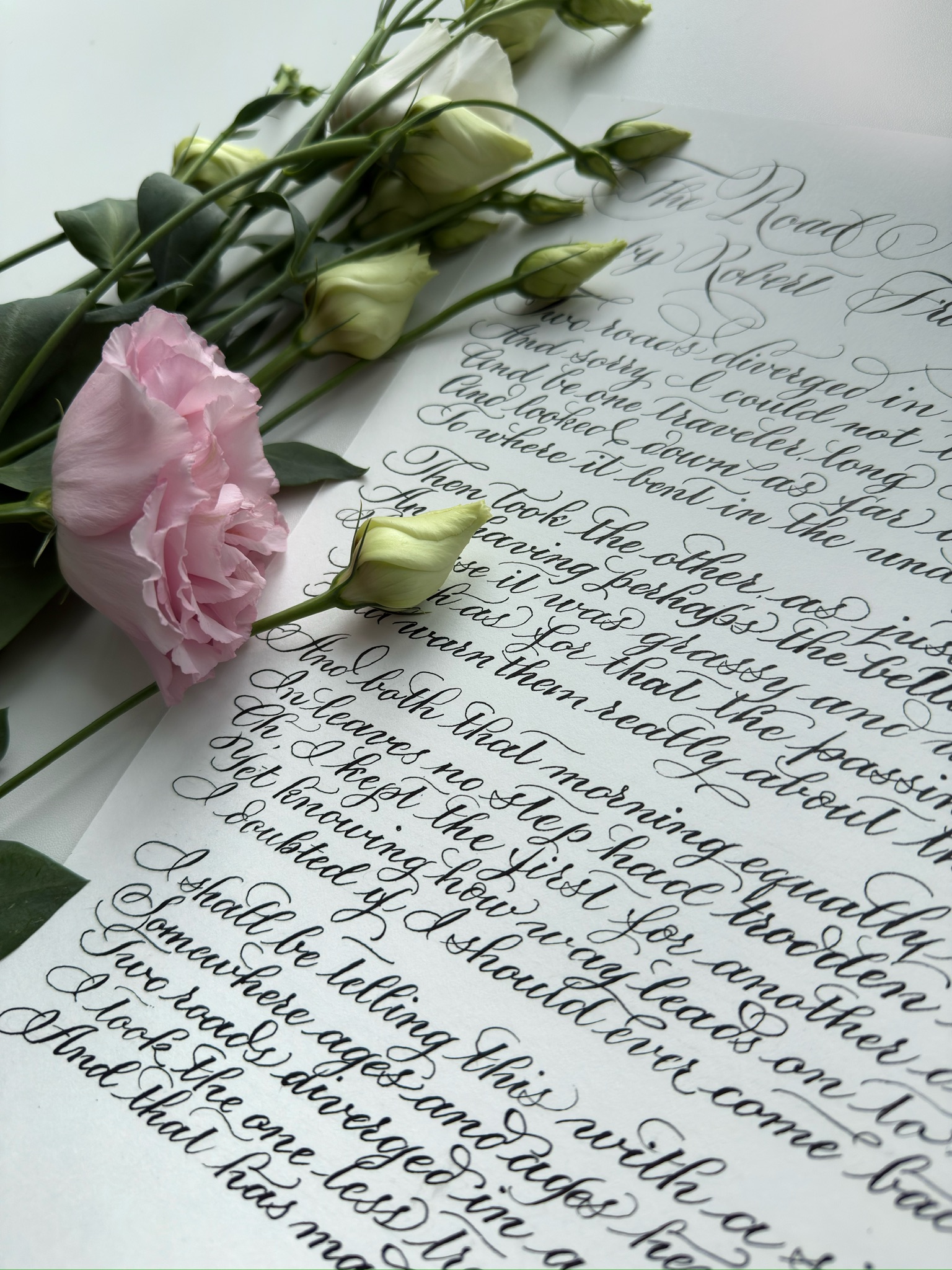 Handwritten Calligraphy